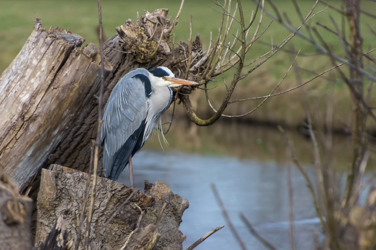 foto: [20220215PV6149-2]